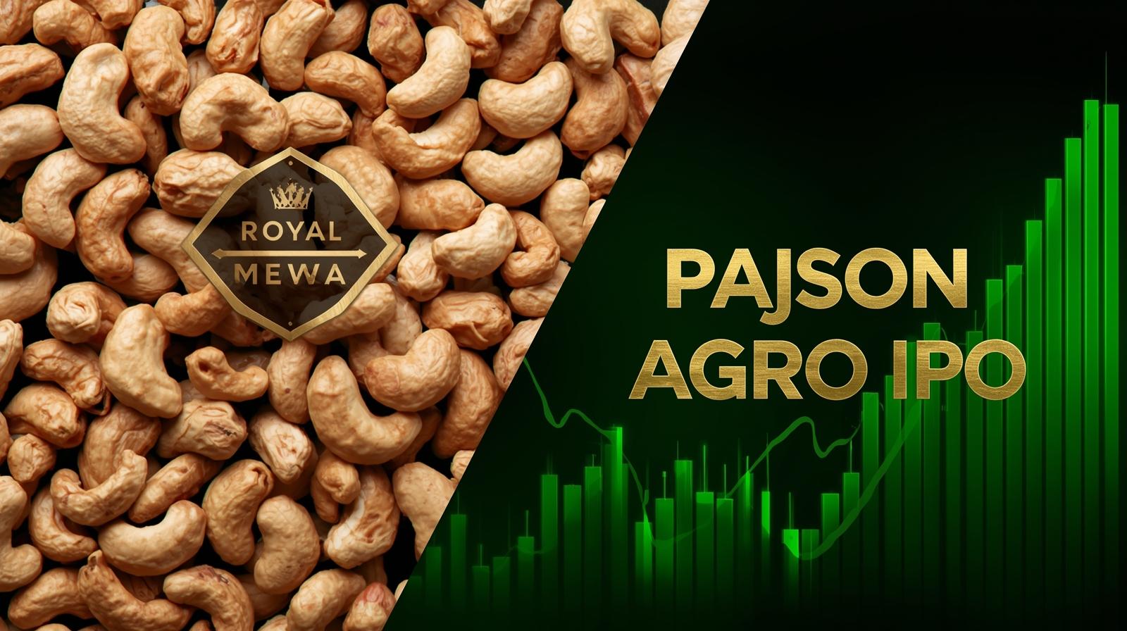 Pajson Agro India IPO Review